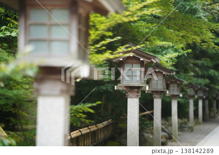 緑に囲まれた神社の山門 138142289