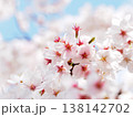 桜 138142702