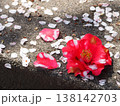桜 138142703