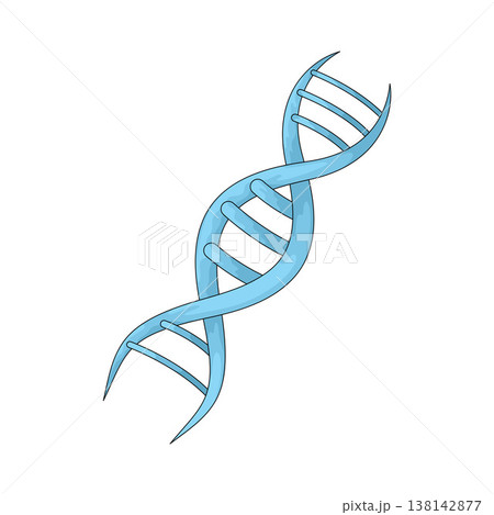 Illustration of DNA 138142877