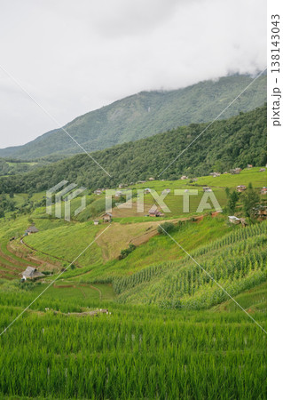 ecology travel with camping outdoor relax in rice field at chiangmai thailand in raining season 138143043