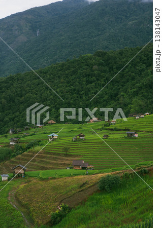 ecology travel with camping outdoor relax in rice field at chiangmai thailand in raining season ecology travel with camping outdoor relax in rice field at chiangmai thailand in raining season 138143047