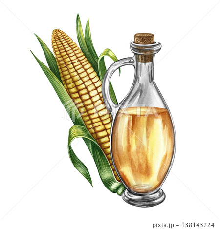 Corn oil. Hand-drawn watercolor illustration. Whole corn cob and oil bottle. Perfect for labels and packaging, as well as menus, banners, posters, and more. 138143224