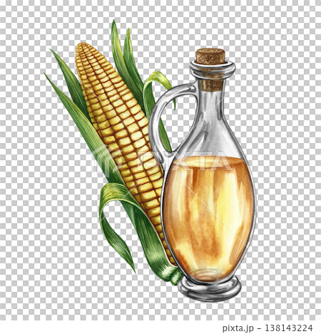 Corn oil. Hand-drawn watercolor illustration. Whole corn cob and oil bottle. Perfect for labels and packaging, as well as menus, banners, posters, and more. 138143224