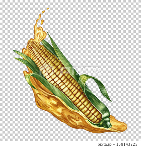 Corn oil. Hand-drawn watercolor illustration. A whole corn cob and a splash of oil. Perfect for labels and packaging, as well as menus, banners, posters, and more. 138143225