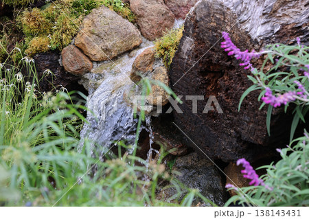 March 21 2026 Clear waterfall cascades gently over moss covered natural rocks 138143431