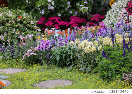 March 21 2026 Vibrant mixed flowers bloom abundantly across lush spring garden 138143443