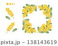 ミモザ 138143619