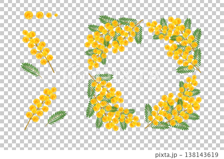 ミモザ ミモザ 138143619