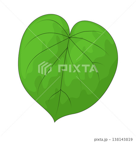 Illustration of Leaf Illustration of Leaf 138143819