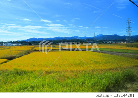 上信電鉄の車窓風景 秋の黄金色の稲穂と田んぼ 10月の快晴のローカル線 群馬県富岡市 138144291