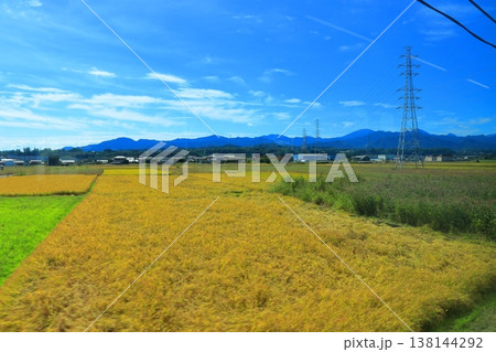上信電鉄の車窓風景 秋の黄金色の稲穂と田んぼ 10月の快晴のローカル線 群馬県富岡市 138144292