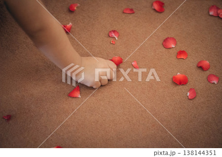 Close-up of a Child's Hand Picking Up Red Rose Petals on the Floor Close-up of a Child's Hand Picking Up Red Rose Petals on the Floor 138144351