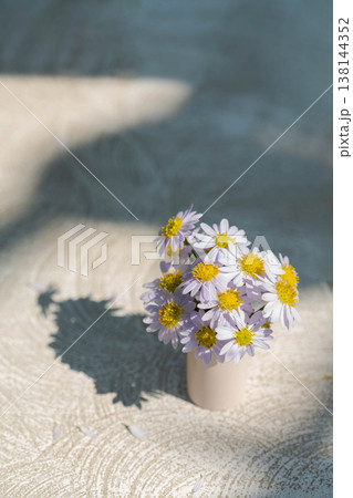 Top View of Daisy Flower Vase with Artistic Shadow and Wide Copy Space Top View of Daisy Flower Vase with Artistic Shadow and Wide Copy Space 138144352