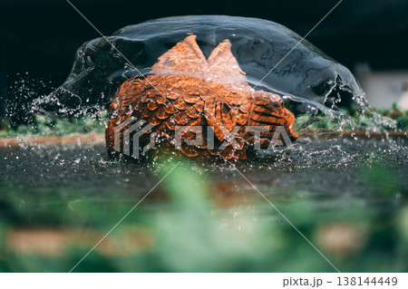 Close-up of Water Fountain Splash Covering Clay Statue in Garden Pond 138144449