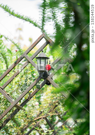 Vintage Garden Lantern on Metal Arch with Red Rose and Greenery 138144519
