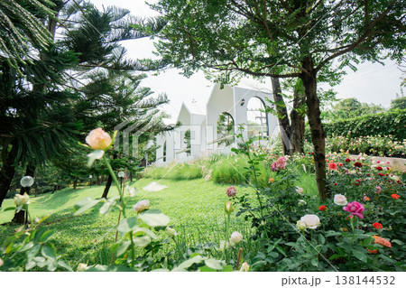 Modern White Minimalist Architecture in a Lush Rose Garden Landscape Modern White Minimalist Architecture in a Lush Rose Garden Landscape 138144532