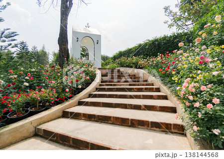 Sunny Stone Steps Leading to a Modern White Building in a Blooming Rose Garden Sunny Stone Steps Leading to a Modern White Building in a Blooming Rose Garden 138144568