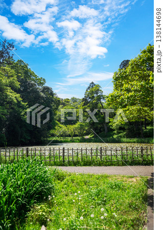爽やかな公園風景 爽やかな公園風景 138144698