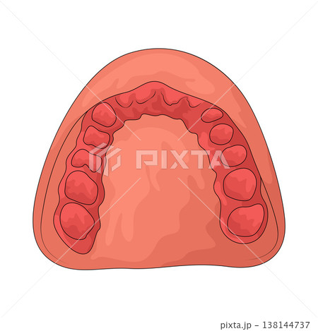 Illustration of dental mold Illustration of dental mold 138144737