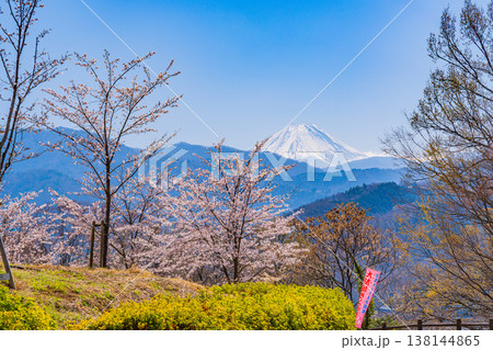 （山梨県）大法師公園の桜と富士山 138144865