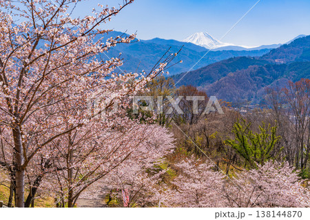 (山梨県)大法師公園の桜と富士山 (山梨県)大法師公園の桜と富士山 138144870