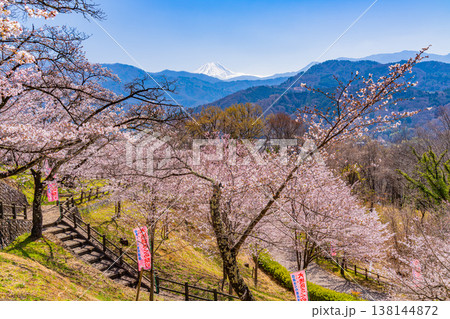 （山梨県）大法師公園の桜と富士山 138144872
