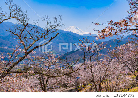 （山梨県）大法師公園の桜と富士山 138144875