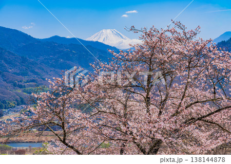 (山梨県)大法師公園の桜と富士山 (山梨県)大法師公園の桜と富士山 138144878