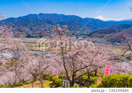(山梨県)大法師公園の桜と富士山 (山梨県)大法師公園の桜と富士山 138144884