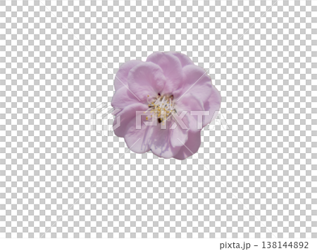 Beautiful plum blossom cutout material 138144892