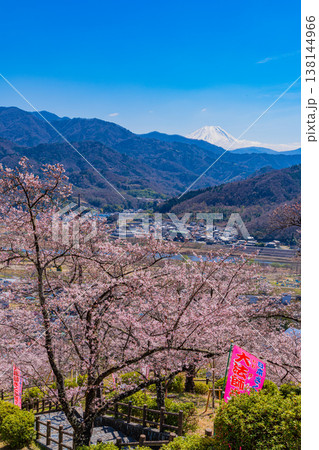（山梨県）大法師公園の桜と富士山 138144966
