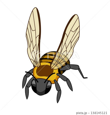 Flying bee cartoon drawing illustration 138145121