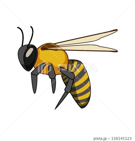 Flying bee cartoon character on white background Flying bee cartoon character on white background 138145123