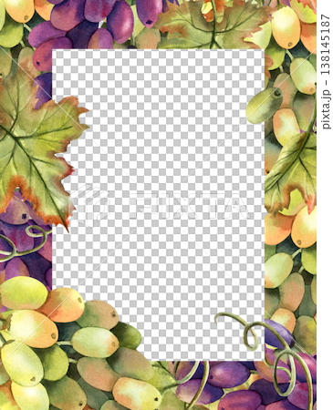 Watercolor grapevine rectangular frame template with copy space. Green black grapes vertical banner. Isolated Illustration of purple autumn berries, vine bunch. Graceful juicy botanical berry 138145187