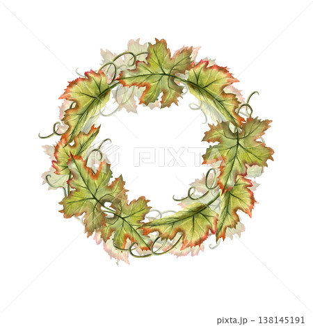Grapevine circle wreath. Watercolor green leaves frame with copy space. Hand drawn Illustration isolated on transparent background. For label, branding, kitchen decoration, tea, oil packaging 138145191