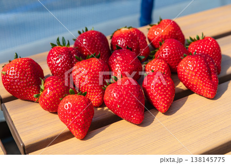 摘みたてのいちご 摘みたてのいちご 138145775