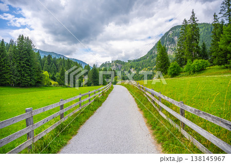 A winding road goes through a green alpine area. Tall trees line the path on both sides. Mountains rise in the background under a cloudy sky. Nature surrounds the road. 138145967