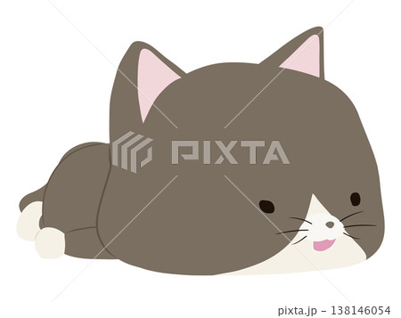 うつ伏せで寝る笑顔のハチワレ猫 138146054