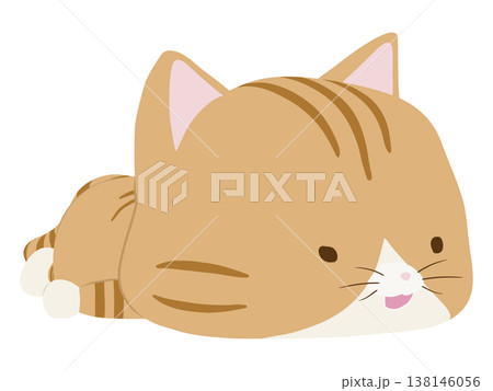 うつ伏せで寝る笑顔の茶トラ猫 138146056