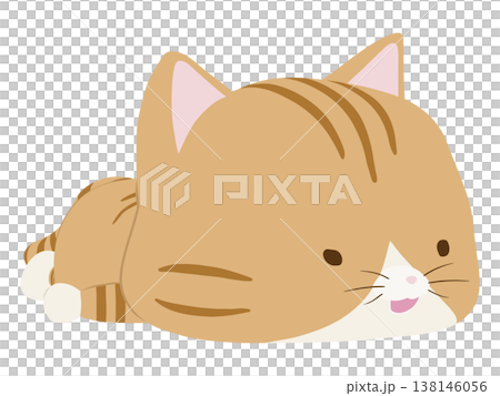 うつ伏せで寝る笑顔の茶トラ猫 138146056