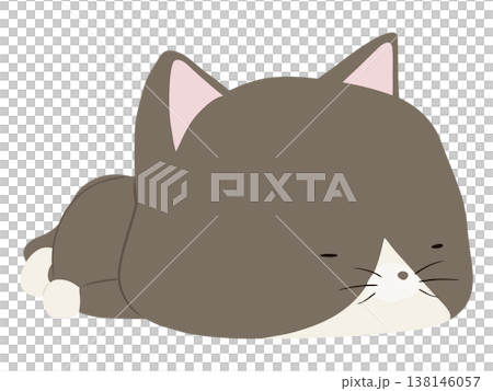 うつ伏せで寝るハチワレ猫 138146057
