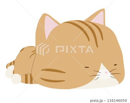 うつ伏せで寝る茶トラ猫 138146059