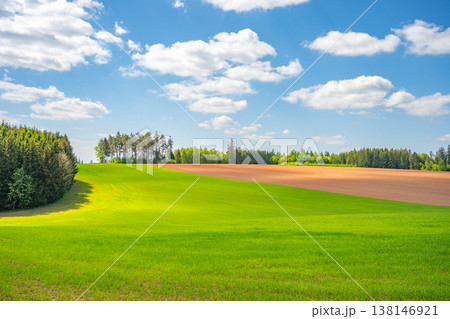 Rolling agricultural landscape shows fields of green grass and red clay soil near Nova Paka in Czechia. Clear blue sky with white clouds floats above the fields, indicating daytime. 138146921