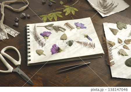 Creating botanical herbarium with pressed purple flowers and dried leaves in sketchbook. Creative workspace on wooden table with scissors, tweezers and crafting tools for DIY nature art project. 138147046