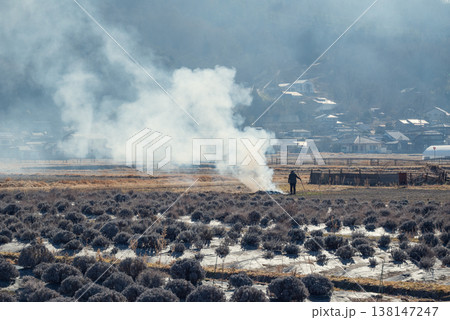 春が近い安曇野 138147247