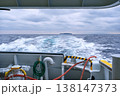 曇天の日初島から熱海へ向かうフェリーの船尾から見える島 138147373