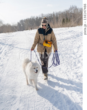 Young woman walking with fluffy samoyed dog in snowy winter park. Young woman walking with fluffy samoyed dog in snowy winter park. 138147466