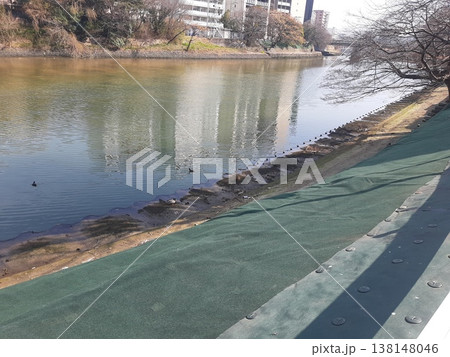 冬の川にかかる橋 138148046