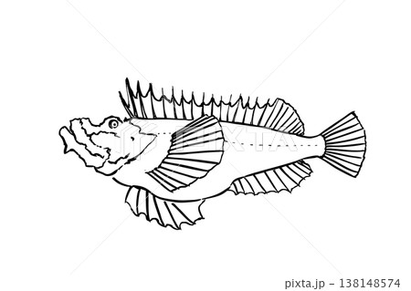 オニオコゼのイラスト 毒魚 海水魚 筆ペン線画 138148574